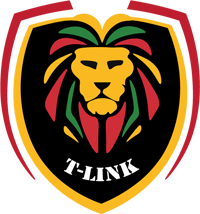 T-Link Network